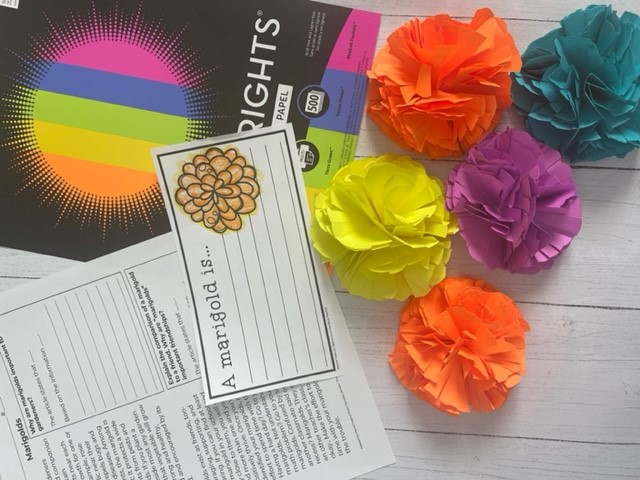 Marigold Paper Flowers | Colorize Your Life| ASTROBRIGHTS