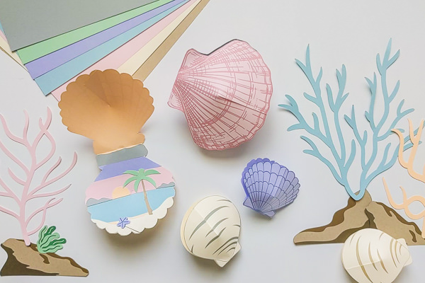 3D Seashell Project