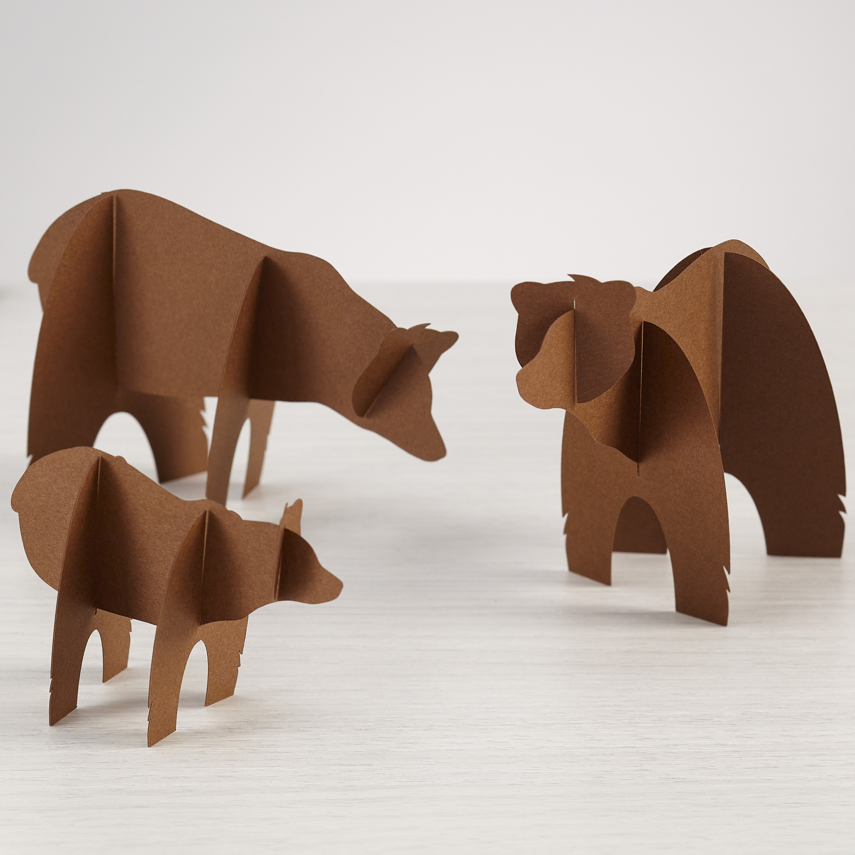 brown-bears-template