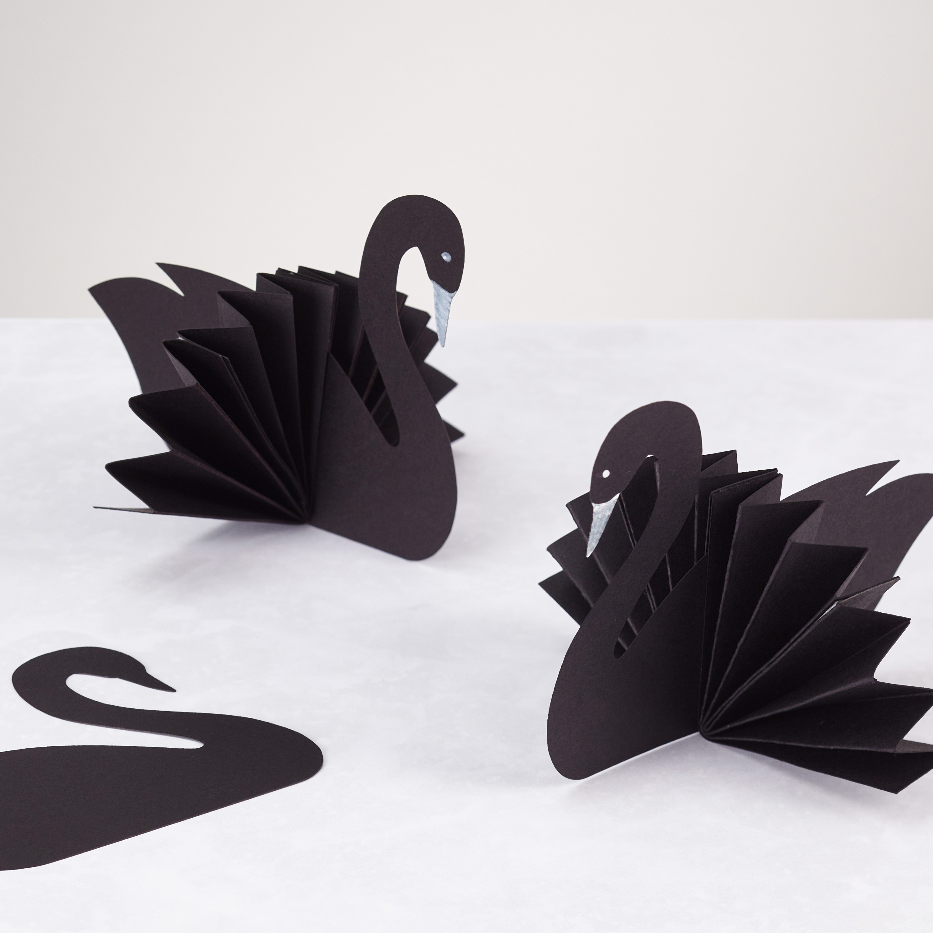 Black Swans Astrodesigns Templates ASTROBRIGHTS