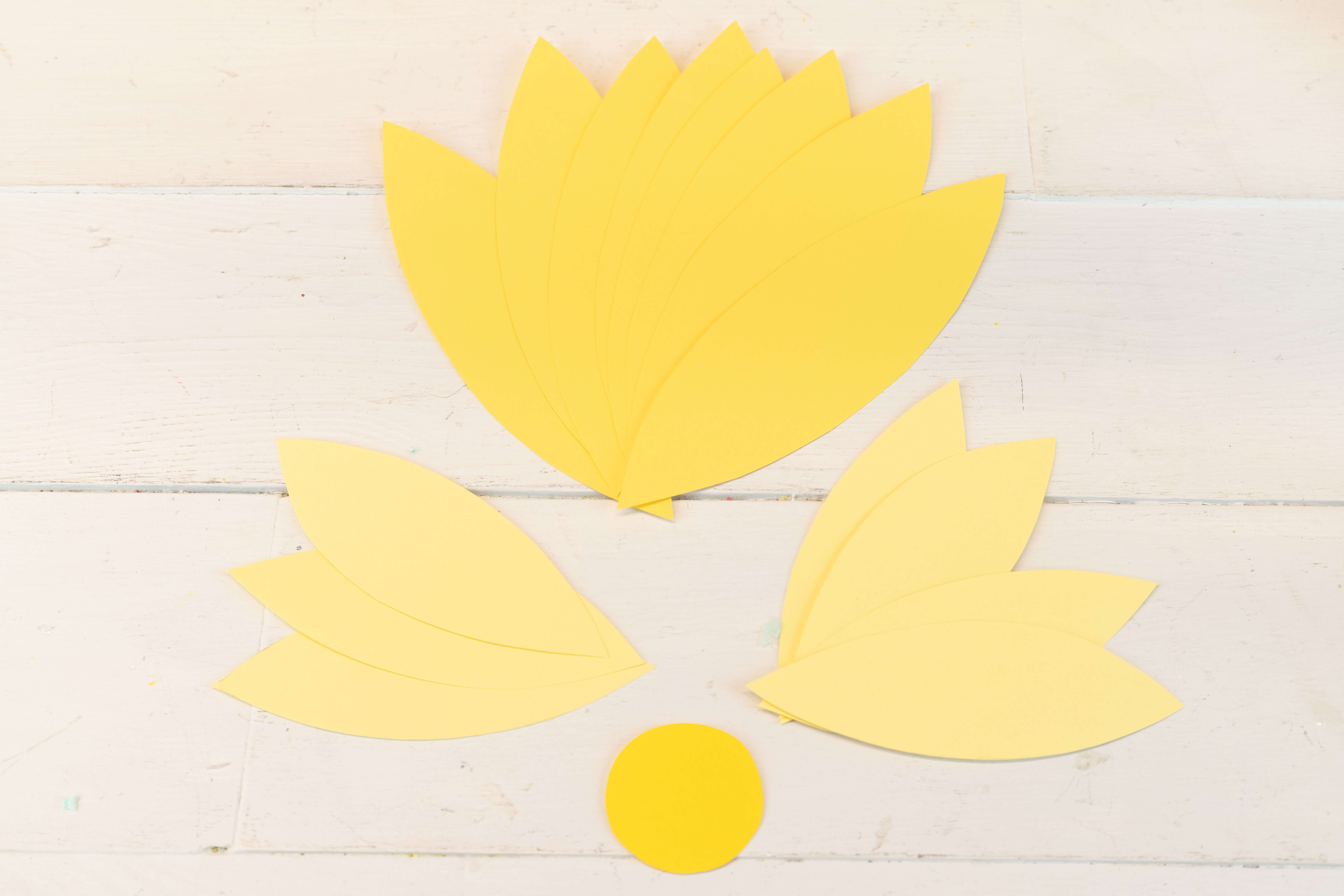 Astrobrights - Spring Paper Flower Mural Hi Res-19