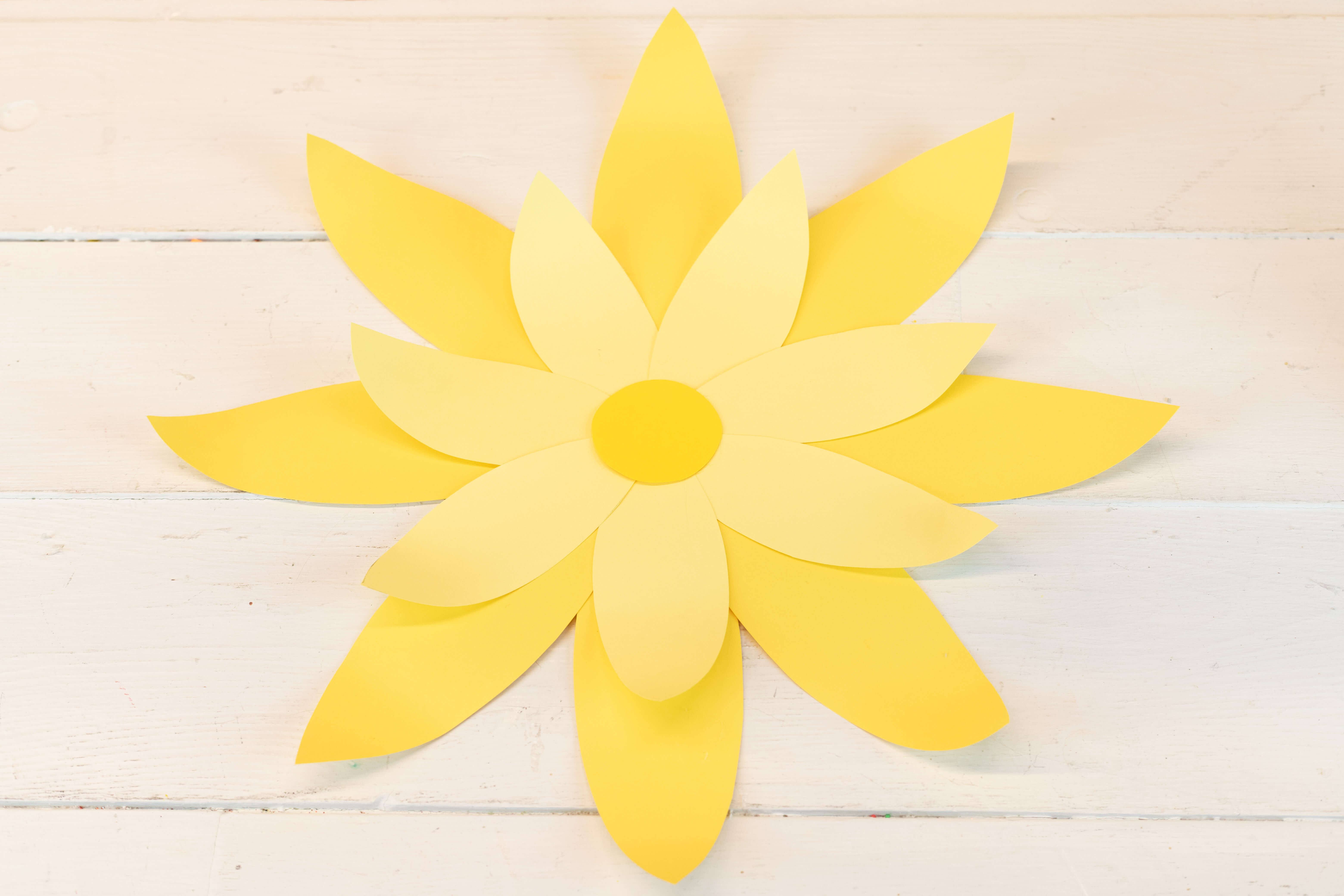 Astrobrights - Spring Paper Flower Mural Hi Res-19