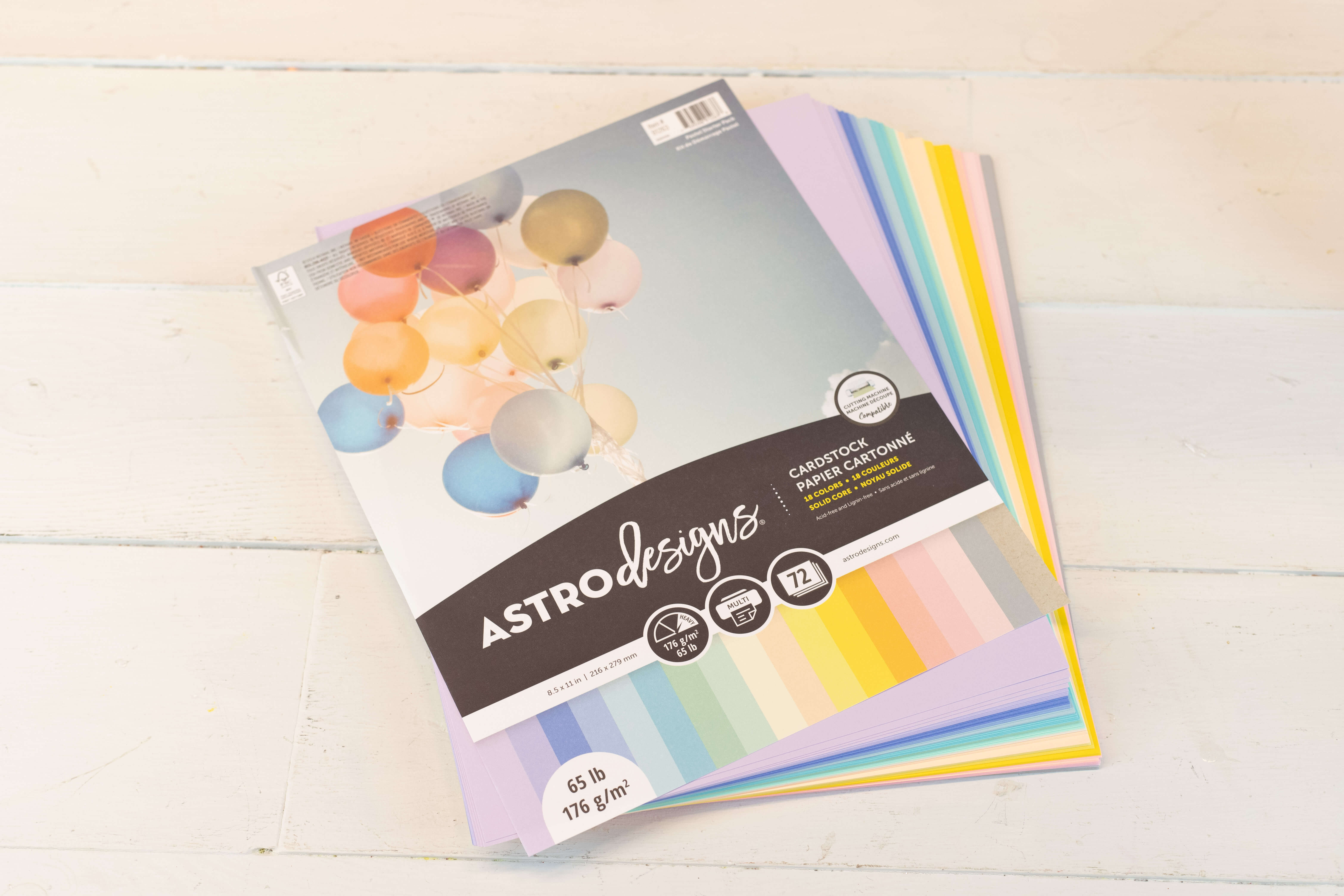 Astrobrights - Spring Paper Flower Mural Hi Res-7