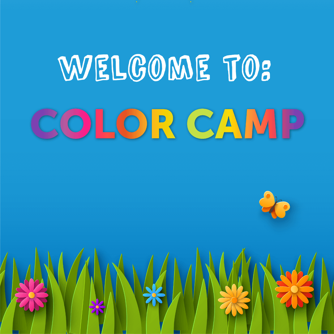 color camp
