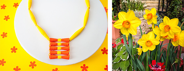 Combined daffodil