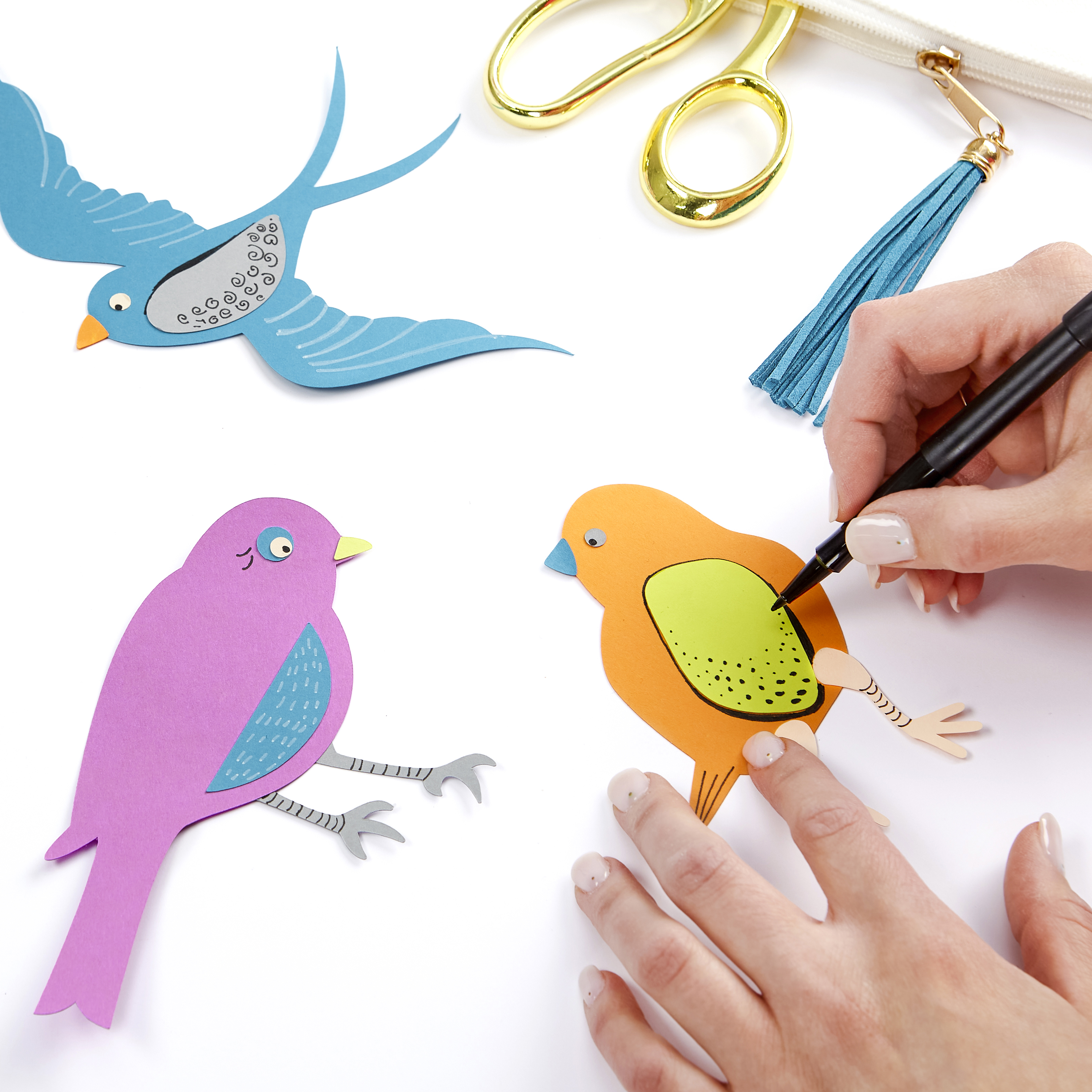 Endless Summer Birds