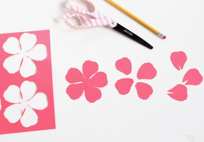 Paper Flower Cut Outs