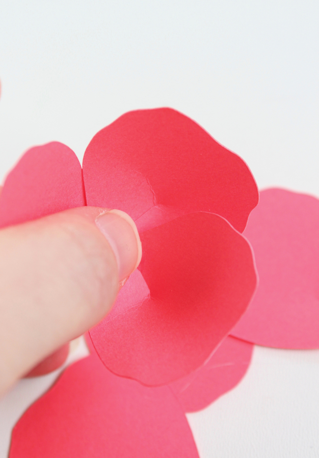 Paper Flower DIY