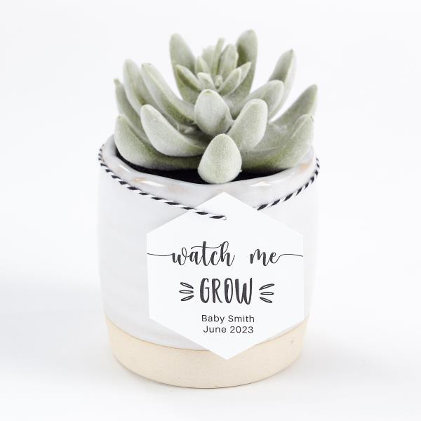 An image with name: Watch Me Grow Gift Tag