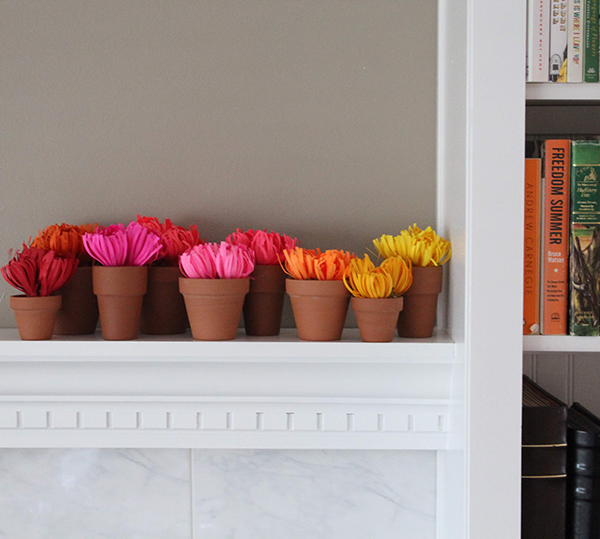 Paper Spider Mums