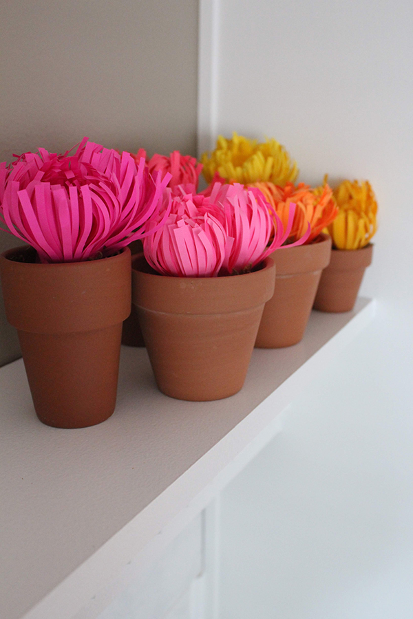 DIY Fall Spider Mums 