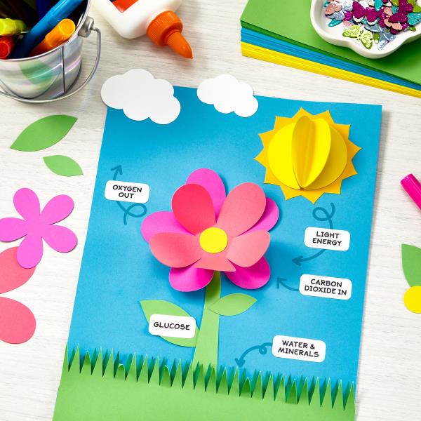 Photosynthesis Activity Template