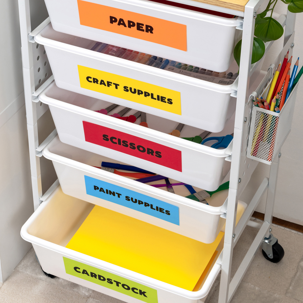 Primary Color Rectangle Labels